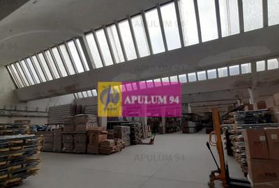 Hala 3600mp zona de Sud a capitalei - 12