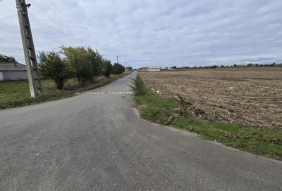 Amzacea- sat G. Scarisoreanu -Ferma zootehnica , 5,1 hectare - 4