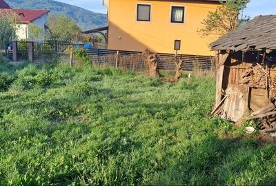 Casă cu 2 camere în Strâmtura - 2