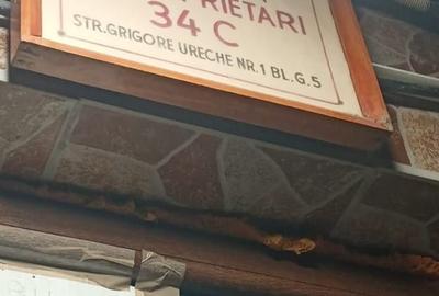 Apartament cu 2 camere decomandat în Exterior Vest - 9