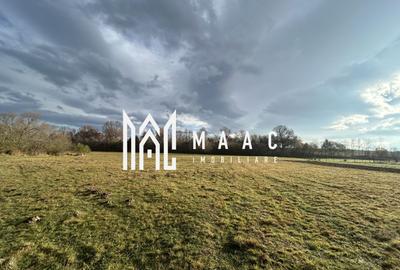 Teren agricol extravilan de 1800 mp, în Cârțișoara - 2