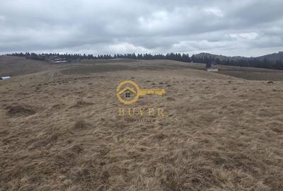 Teren de 2025 mp, în Rășinari - 8