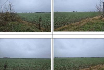 Teren Budesti, ID: R2362337 - 2