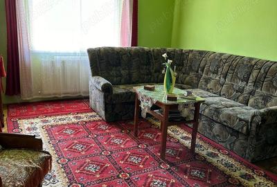 Casa supraetajata pentru doua familii Reghin - 2