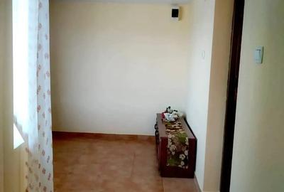 Vand sau schimb casa abunden?ei duplex, zona turistica Mana?tiur, Timi?, Renovata La Cheie - 7