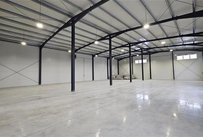 Spațiu industrial, de 684 mp, în Câmpenești - 2