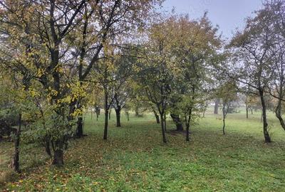 Casă cu 4 camere în Șaula - 6