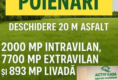 DE VANZARE 1 HA ,teren zona Poienari,Neamt DE VANZARE 1 HA ,teren zona Poienari,Neamt - 2