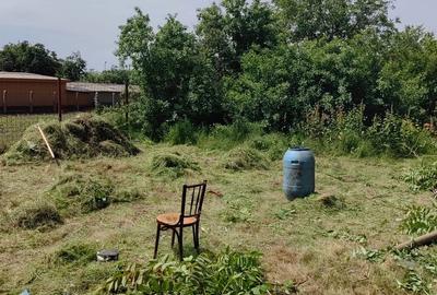 Casă cu 4 camere decomandat în Exterior Vest - 3