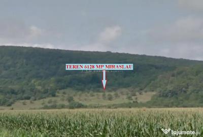 Teren de 6128 mp, în Mirăslău - 8