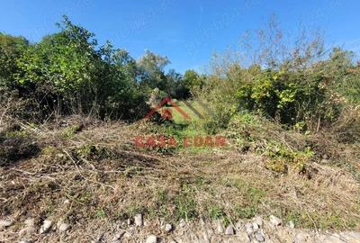 Teren intravilan in Poiana Campina 4285 mp parcelabil 11,6e - 7