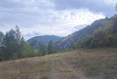 Vând teren 4 euro mp MEHADIA la 8km de BĂILE HERCULANE - 4