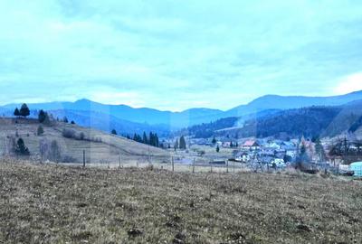 VAND 2500 MP DE TEREN INTRAVILAN LA COLIBITA - 1