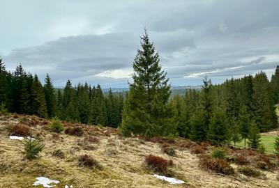 TEREN PARCELABIL, aproape de partia de ski Marisel si Crucea Iancului - 3