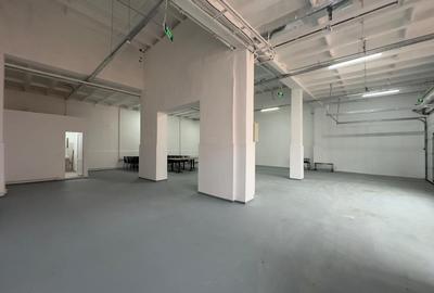 Spațiu industrial, în Nicolina - 22