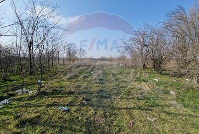 Teren Craiova / Centura de Nord