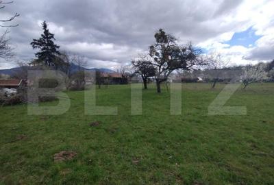 Casa 80mp, teren 7500mp , intravilan, zona Valea Bargaului - 5