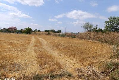 Teren de 1040 mp, în Cornetu - 4