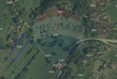 Teren de 3082 mp, în Damiș - 15