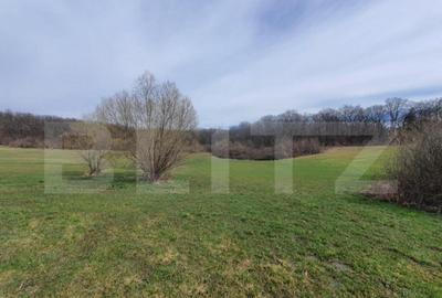 Teren de vanzare extravilan, 1ha, drumul Sigmirului - 3