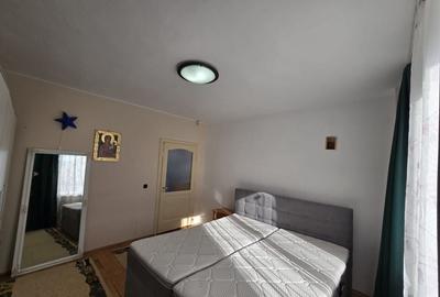 Casa individuala, teren 427 mp, garaj, zona Hotel Belvedere-Gruia - 20