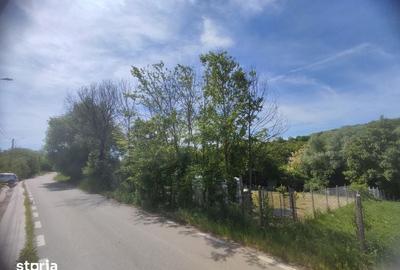 Teren de 1400 mp, în Daia - 3
