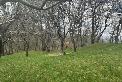 Spațiu comercial, în Central - 7