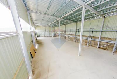 Spatiu de birouri si hala de depozitare ,de inchiriat - 13