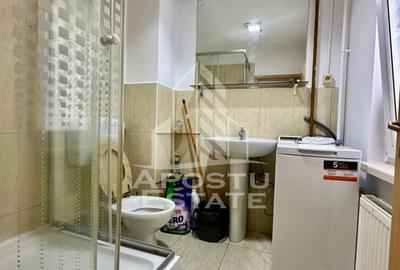 Apartament cu 2 camere nedecomandat, mobilat în Șagului - 7