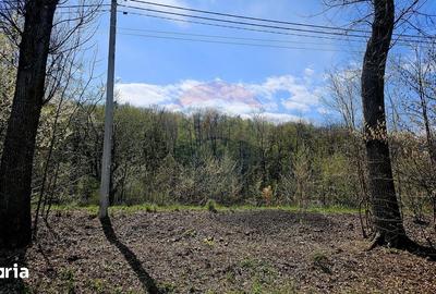 Teren de 10000 mp, în Vânători-Neamț - 13