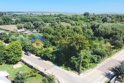 Teren Construcții intravilan de 1110 mp, în Boțești - 3