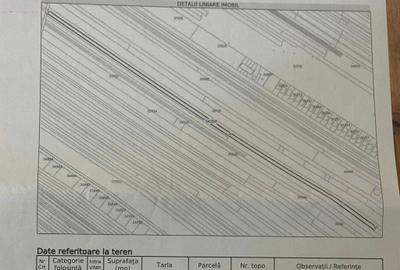 Teren de 4800 mp, în Mărăcineni - 3