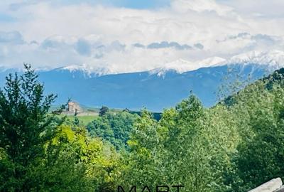 Teren de 500 mp, în Cisnădioara - 5