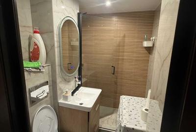 Apartament cu 2 camere decomandat, mobilat în Pantelimon - 5