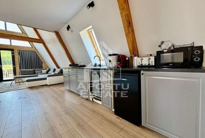 Afacere la cheie, doua case A frame, Salciua Noua - 8