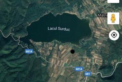 Teren de 11600 mp, în Fârdea - 3