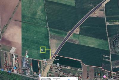 Teren intravilan Ciorogarla, 500 mp, deschidere 20 ml - 1