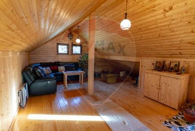 Casa din lemn Ribita,jud Hunedoara - 9