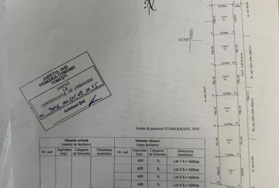 Spațiu comercial, în Tomești - 5