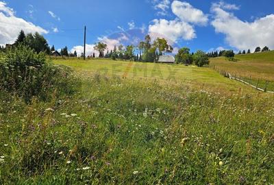 Teren de vis in Fundata 1934mp sau 3868mp, la inal?im... - 11