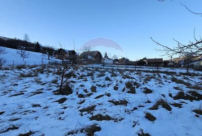 Casă cu 6 camere cu Teren 2803 Mp în Central - 12