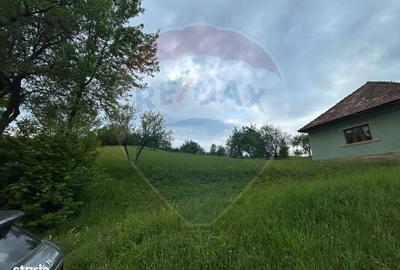 Spațiu comercial, în Copalnic - 3