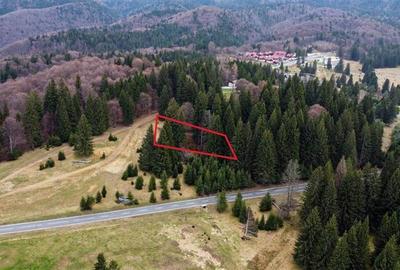 Teren cu potential:1.000 mp,proiect turistic/rezidential,Poiana Brasov - 10