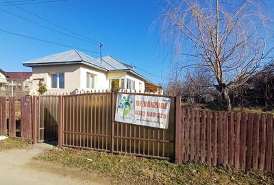 Casa sat NEDELEA + teren 2660 mp - 17