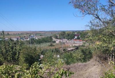 Casă cu 3 camere cu Teren 4429 Mp în Malcoci - 1