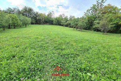 Teren intravilan in Poiana Campina--3287mp--10e - 8