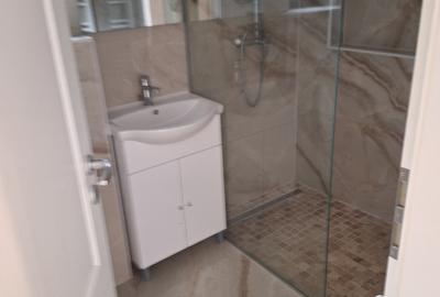 Mosnita Noua-Kaufland-1/2 duplex pe parter ,3 camere, la asfalt - 9