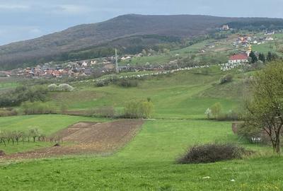 Teren de 3822 mp, în Central - 3