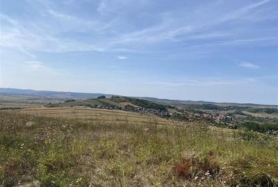 Teren extravilan de vanzare in Tileagd - 3166 mp cu panorama superba - 7