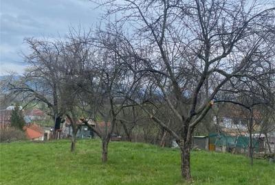 Teren de 4669 mp, în Girișu de Criș - 4